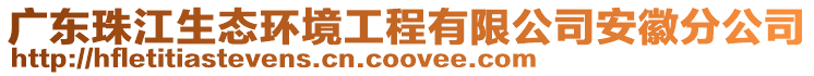 廣東珠江生態(tài)環(huán)境工程有限公司安徽分公司
