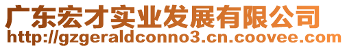廣東宏才實業發展有限公司