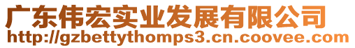 廣東偉宏實(shí)業(yè)發(fā)展有限公司