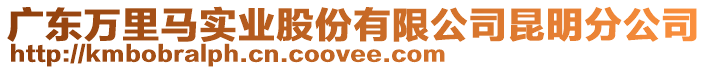 廣東萬里馬實業(yè)股份有限公司昆明分公司