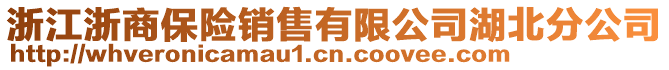 浙江浙商保險銷售有限公司湖北分公司