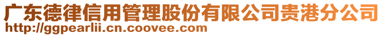 广东德律信用管理股份有限公司贵港分公司