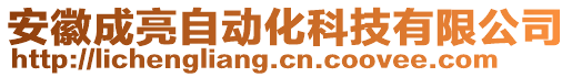 安徽成亮自動化科技有限公司