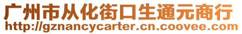 廣州市從化街口生通元商行