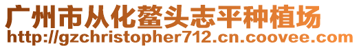 廣州市從化鰲頭志平種植場