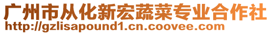 廣州市從化新宏蔬菜專業(yè)合作社