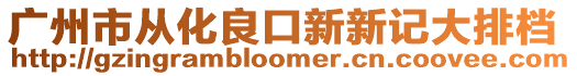 廣州市從化良口新新記大排檔