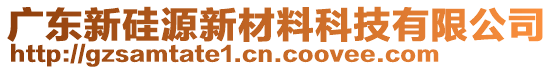 廣東新硅源新材料科技有限公司