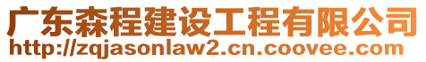 廣東森程建設(shè)工程有限公司