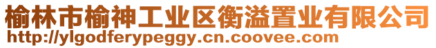 榆林市榆神工業區衡溢置業有限公司