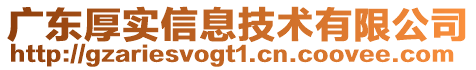 廣東厚實信息技術(shù)有限公司