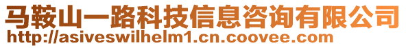 馬鞍山一路科技信息咨詢有限公司