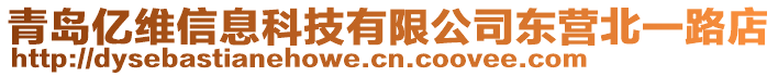青島億維信息科技有限公司東營北一路店