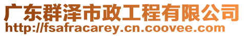 廣東群澤市政工程有限公司