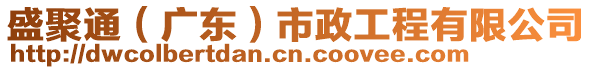 盛聚通（广东）市政工程有限公司