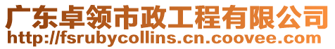 廣東卓領(lǐng)市政工程有限公司