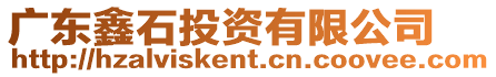 廣東鑫石投資有限公司