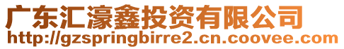 廣東匯濠鑫投資有限公司