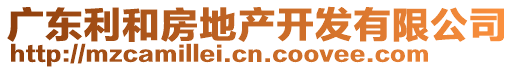 廣東利和房地產(chǎn)開(kāi)發(fā)有限公司