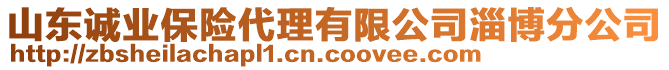 山東誠業(yè)保險(xiǎn)代理有限公司淄博分公司