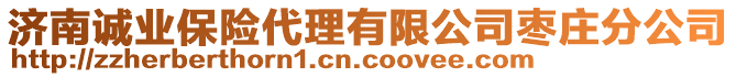 濟南誠業(yè)保險代理有限公司棗莊分公司