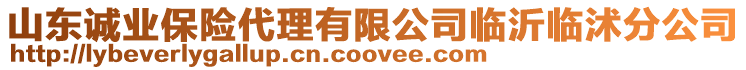 山東誠業(yè)保險代理有限公司臨沂臨沭分公司