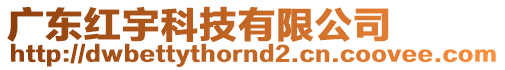 廣東紅宇科技有限公司