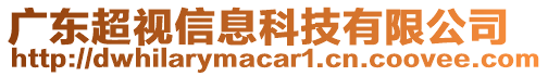 廣東超視信息科技有限公司