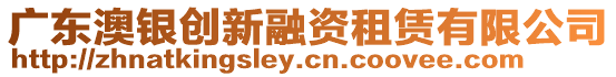 廣東澳銀創新融資租賃有限公司