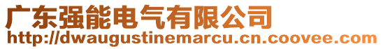 廣東強能電氣有限公司