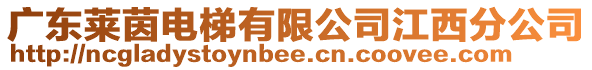 廣東萊茵電梯有限公司江西分公司