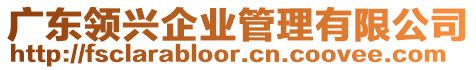 廣東領(lǐng)興企業(yè)管理有限公司