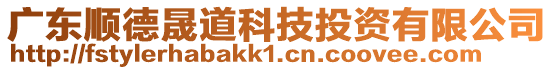 廣東順德晟道科技投資有限公司