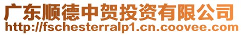 廣東順德中賀投資有限公司