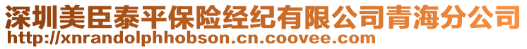 深圳美臣泰平保險經(jīng)紀(jì)有限公司青海分公司