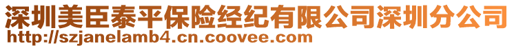 深圳美臣泰平保險經(jīng)紀(jì)有限公司深圳分公司