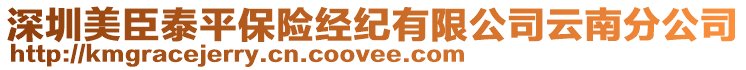 深圳美臣泰平保險(xiǎn)經(jīng)紀(jì)有限公司云南分公司