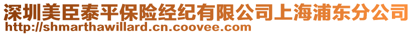 深圳美臣泰平保險(xiǎn)經(jīng)紀(jì)有限公司上海浦東分公司