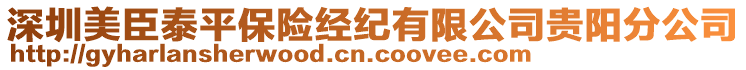 深圳美臣泰平保險(xiǎn)經(jīng)紀(jì)有限公司貴陽(yáng)分公司