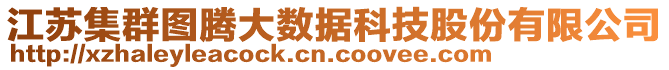 江苏集群图腾大数据科技股份有限公司