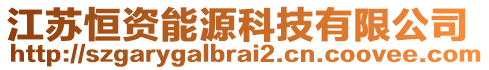 江蘇恒資能源科技有限公司