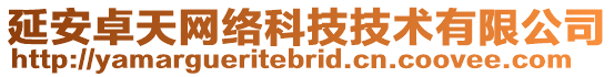 延安卓天網(wǎng)絡科技技術有限公司