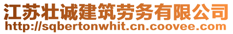 江蘇壯誠建筑勞務有限公司