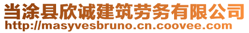 當涂縣欣誠建筑勞務有限公司