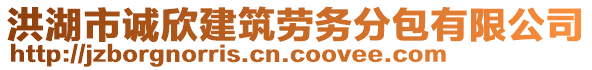 洪湖市誠欣建筑勞務分包有限公司