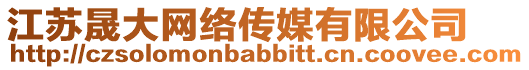 江蘇晟大網(wǎng)絡(luò)傳媒有限公司