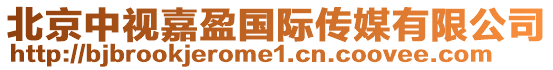 北京中視嘉盈國際傳媒有限公司