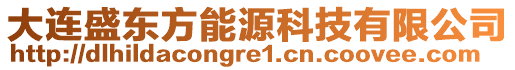 大連盛東方能源科技有限公司