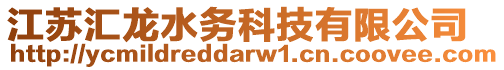 江蘇匯龍水務(wù)科技有限公司