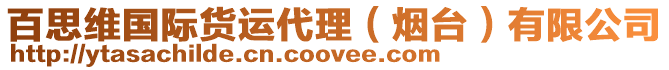 百思維國(guó)際貨運(yùn)代理（煙臺(tái)）有限公司